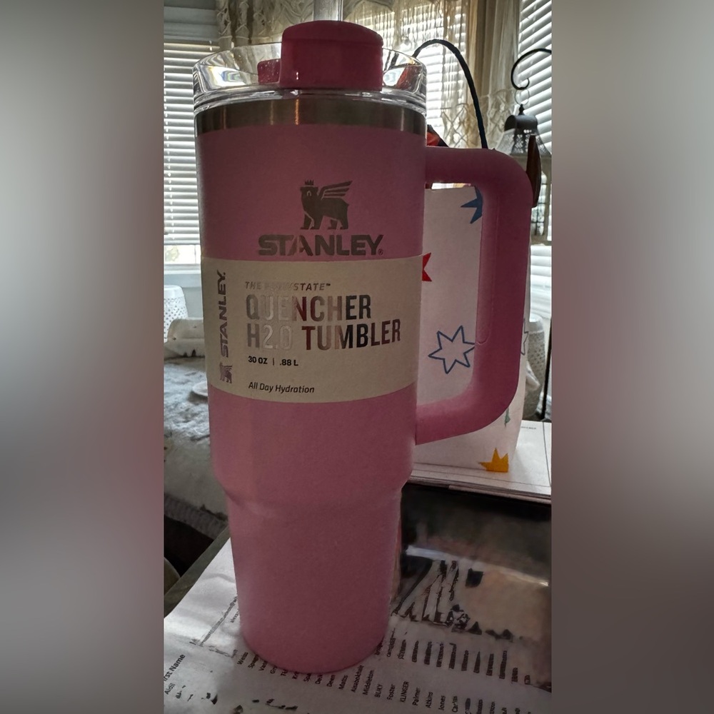 Stanley X Target Sizzling Pink 30 oz